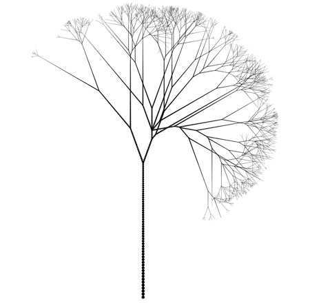 Tree image created using ContextFree program.