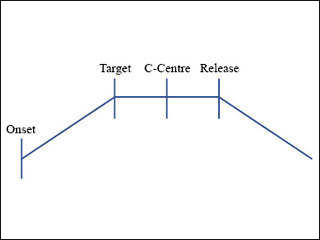 Top of trapezoid, divided into onset, target, center, release.
