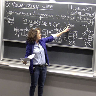 Professor Imperiali standing in front of the chalkboard