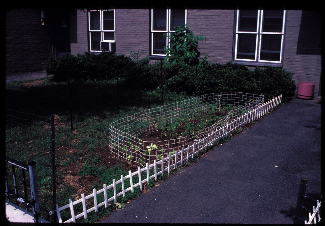 W. Broadway fenced vegetable plot.