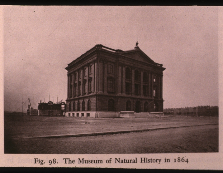 Museum of Natural History, 1864.