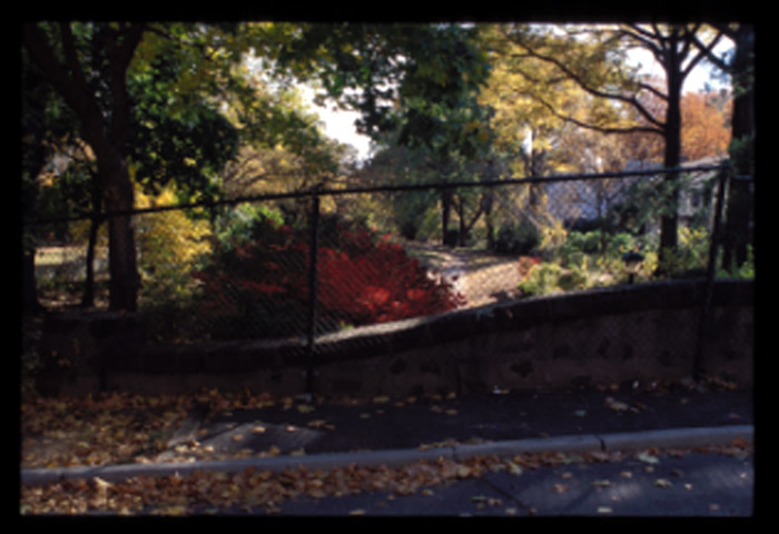 Radburn, view from overpass, 11/01.