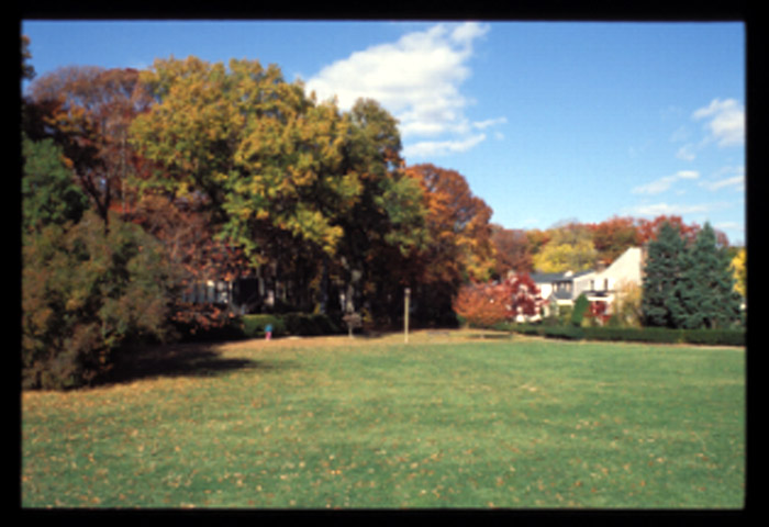 Radburn, public green joins house areas, 11/01.