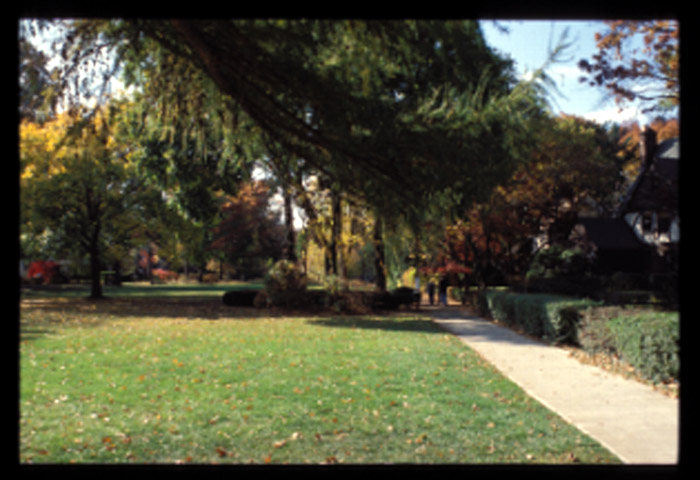Radburn, paths and greens, 11/01.