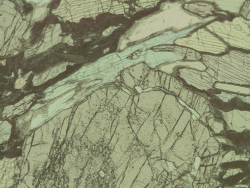 Sample MU-52 under plane polarized light.