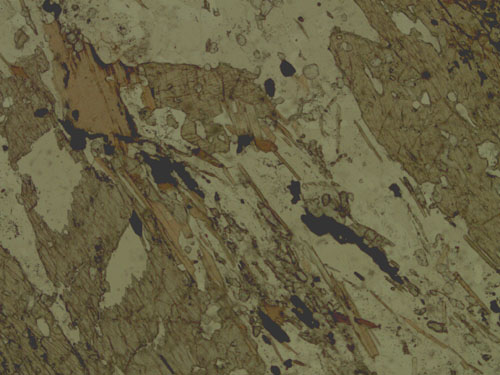 Sample MU-61 under plane polarized light.