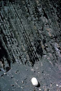 Turbidite deposits.