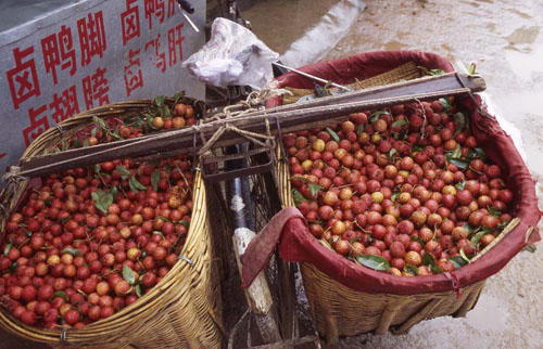 ϵС֦[Fruit seller, with baskets of lychees on his bicycle.]