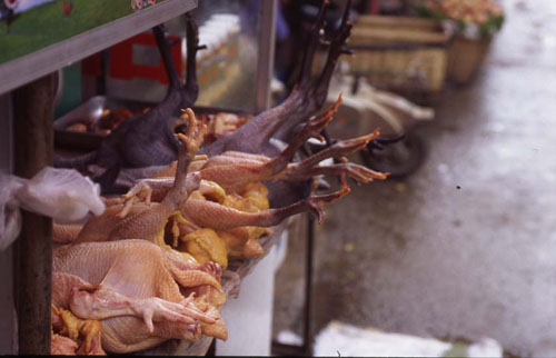 ϵС̯[Selling fresh chickens on the street. Moslem stall.]