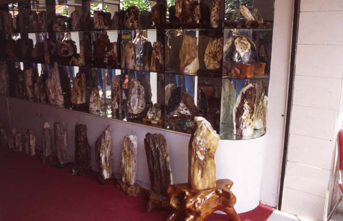 ʯꡣ[Shop selling exotically shaped rocks.]
