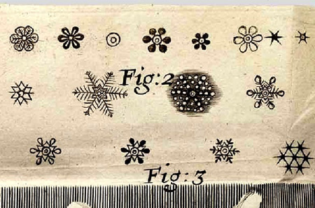 Drawing of several different snowflakes.