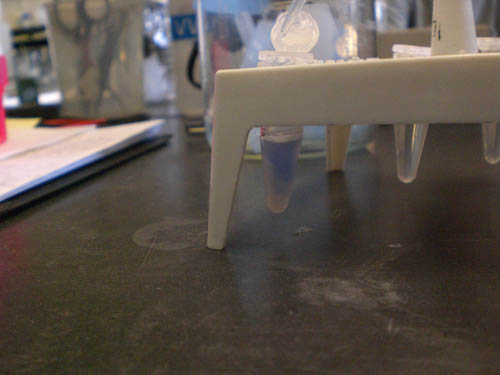 Eppendorf tube containing cloudy white liquid