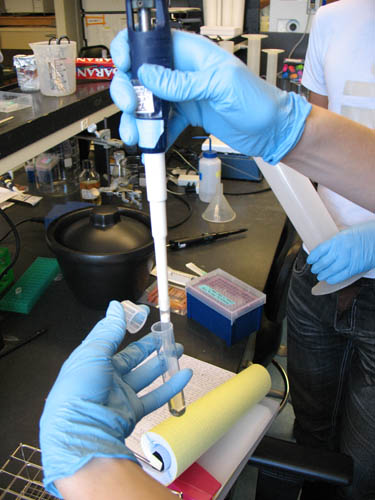 Micropipette being dipped into test tube