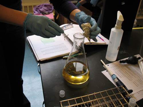 Large conical flask containing yellow liquid