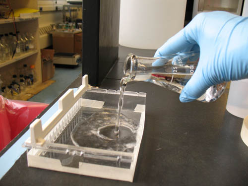 Viscous liquid being poured into plastic mold