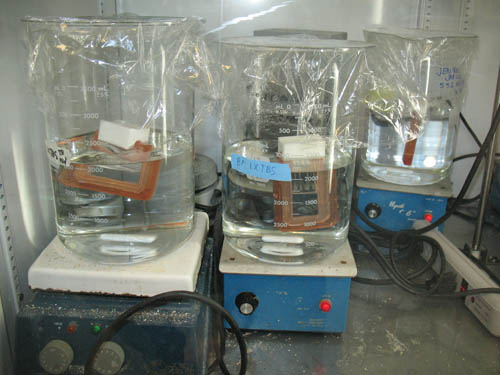 Three beakers containing dialysis cassettes on top of magnetic stir motors