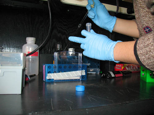 Glass pipette inserting material into gel mold