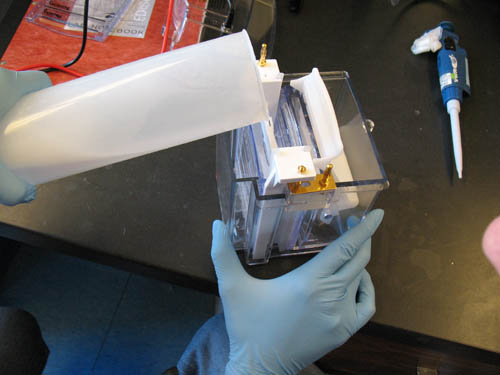 Graduated cyclinder adding material into gell running apparatus