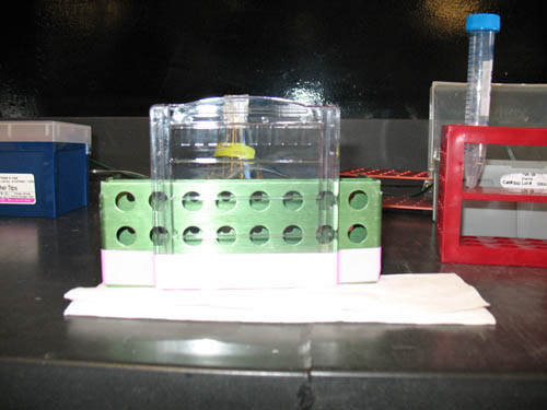 Plastic gel mold with comb at top