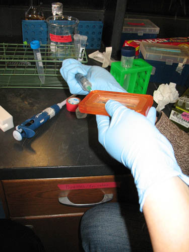 Syringe inserted into rectangular dialysis cassette