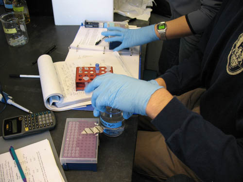 Empty eppendorf tubes, sample eppendorf tubes, and water on lab bench