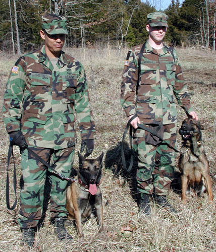  Demining dog with handlers.