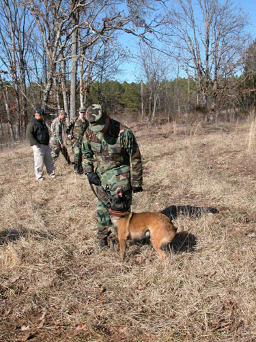  Demining dog with handler.