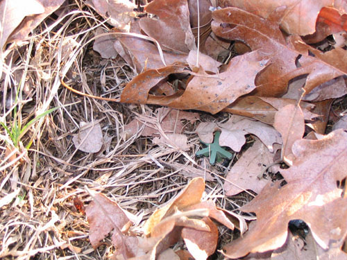 Buried mine.
