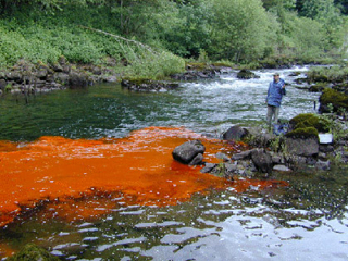 Dye being released into an Oregon river.