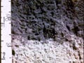 A cross-section of clay loam.