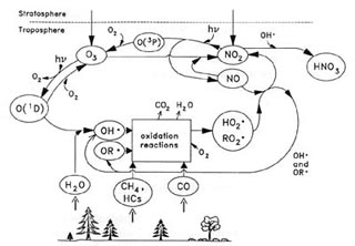Tropospheric chemical system.