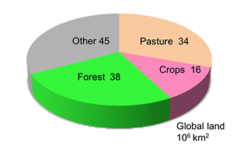 S3. FAOSTAT Food Balance Sheets, Land, Water, Food, and Climate, Civil  and Environmental Engineering