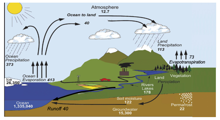 The Water Cycle