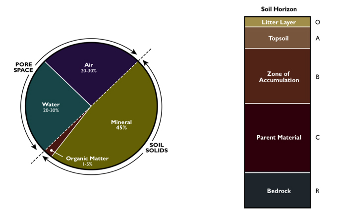 S3. FAOSTAT Food Balance Sheets, Land, Water, Food, and Climate, Civil  and Environmental Engineering