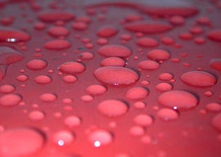Water beading on a waxed surface.