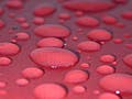 Water beading on a waxed surface.