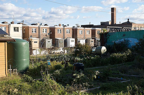 An urban garden overlooks apartment buildings.