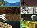 Images showing different sources of energy.