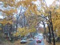 Driving in autumn.