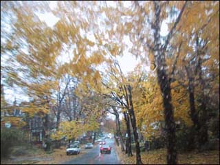 Driving in autumn.
