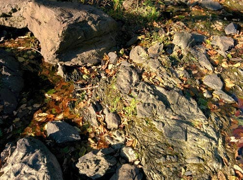 A photograph of bedrock with a rough texture.