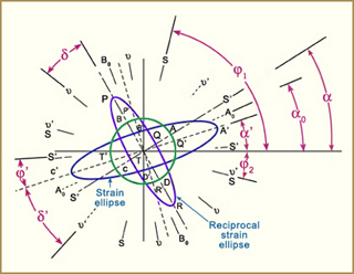 Figure showing strain ellipse and reciprocal strain ellipse.