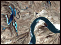 A satellite photograph of a meandering river.