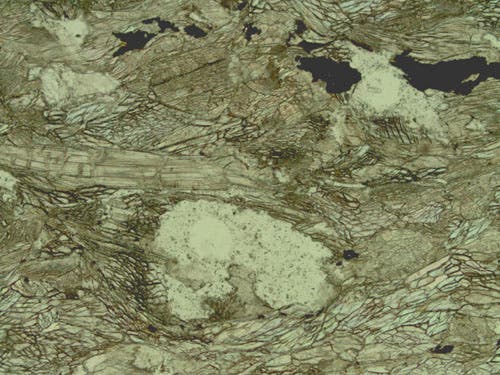 Sample MU-47 under plane polarized light.