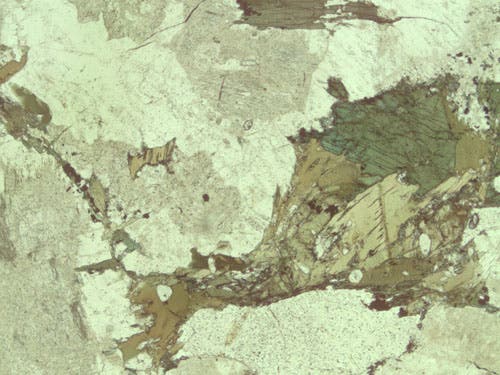 Sample MU-4 under plane polarized light.