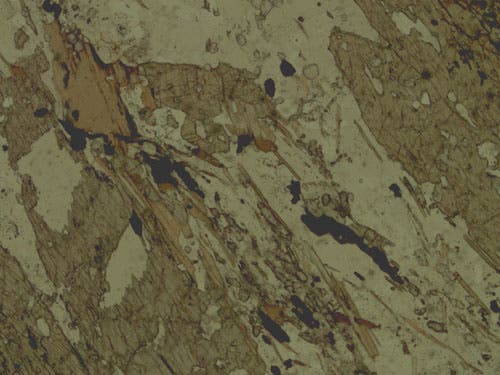 Sample MU-61 under plane polarized light.