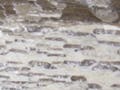 Graphic granite.