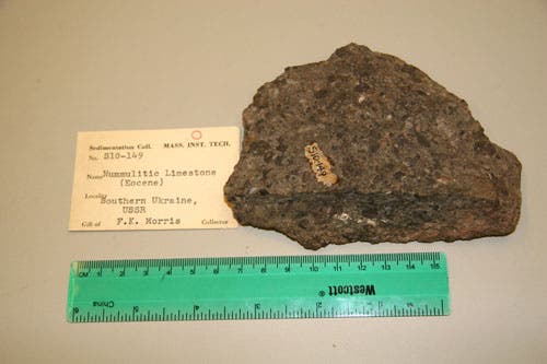 Oolitic Limestone.