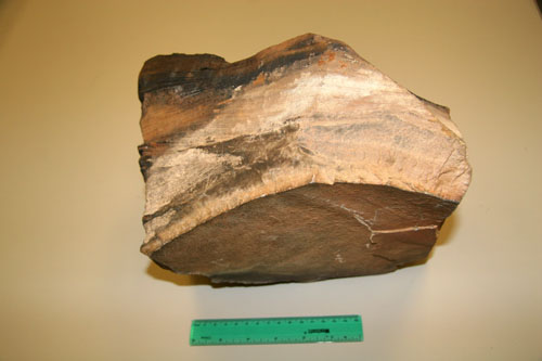 Preserved Hummocky cross-stratification.