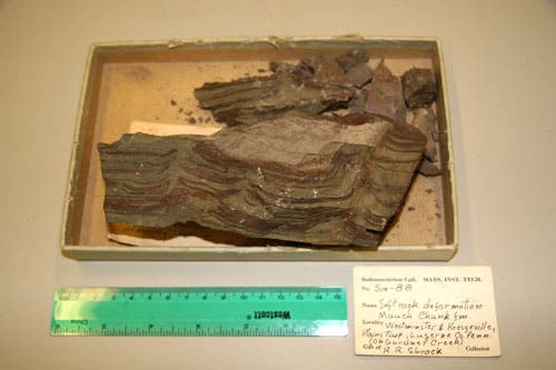 Soft-rock deformation with preserved dewatering pipes from compaction of gray silt.